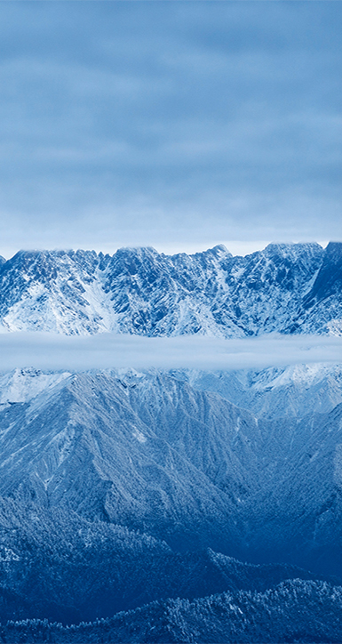 关于z6com尊龙凯时